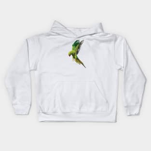 love bird low poly art Kids Hoodie